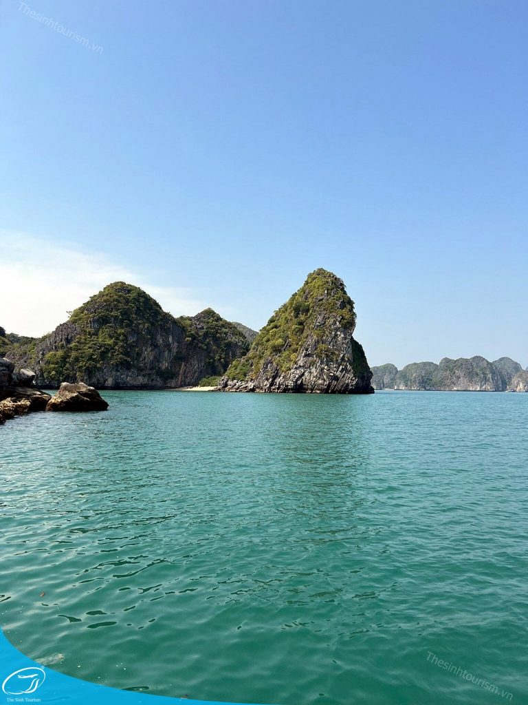 Thế Sinh Tourism – Đơn Vị Tổ Chức Tour Đảo Cát Bà Uy Tín Và Chất Lượng 10 tour du lich cat ba du lich dao cat ba vinh lan ha the sinh tourist sinh cafe travel caption 5 20240919 103700