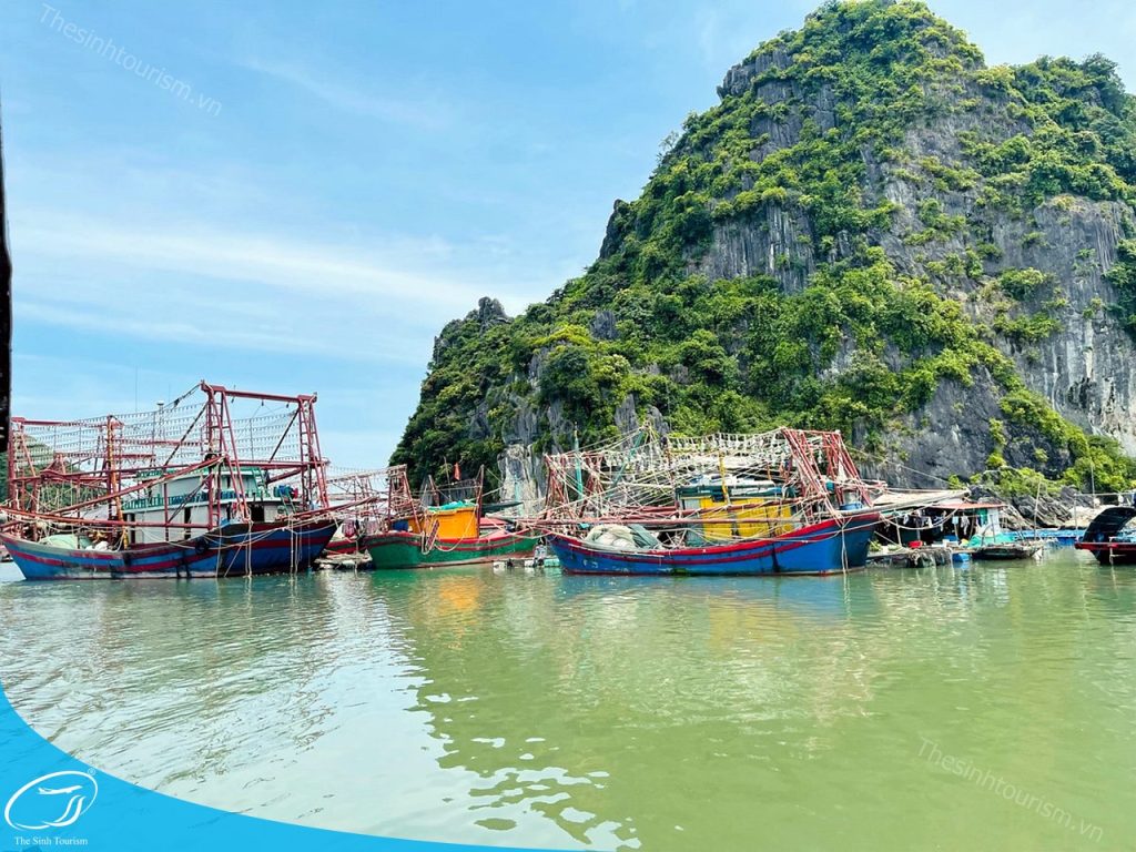 Du lịch Cát Bà - Thiên đường đảo ngọc giữa Vịnh Bắc Bộ 8 Du thuyền 3 sao vịnh Lan Hạ cùng Thế Sinh Tourism