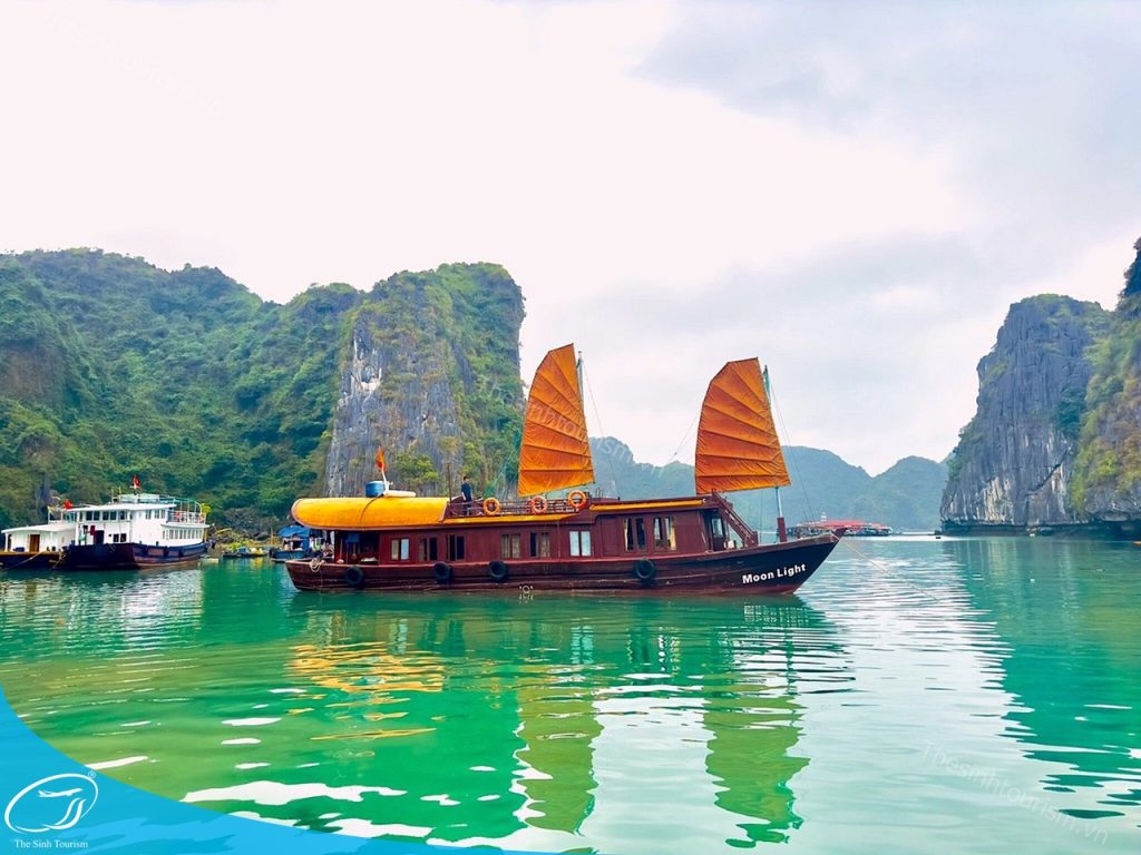 tour du lich cat ba du lich dao cat ba vinh lan ha the sinh tourist sinh cafe travel lan ha bay 5 20240919 103701