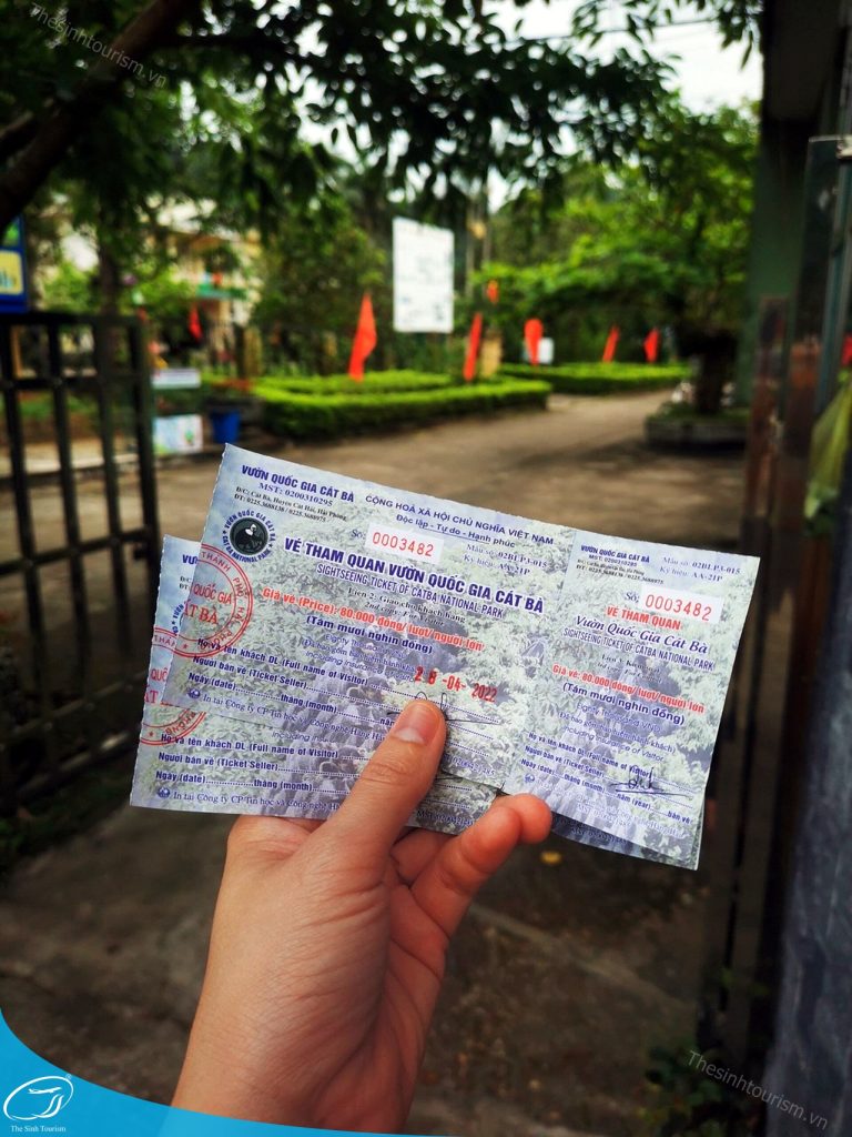 tour du lich cat ba du lich dao cat ba vuon quoc gia cat ba the sinh tourist sinh cafe travel 003 20240919