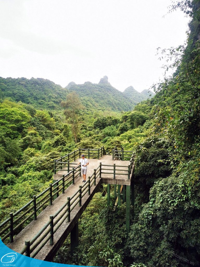 tour du lich cat ba du lich dao cat ba vuon quoc gia cat ba the sinh tourist sinh cafe travel 004 20240919