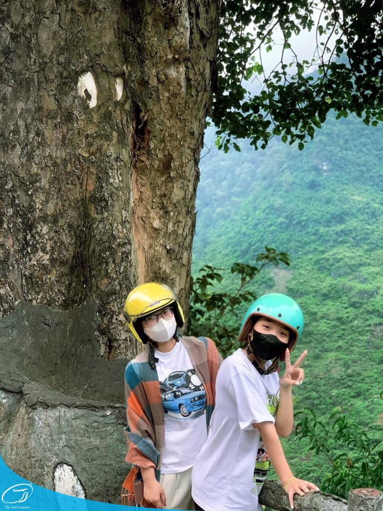 du lich the sinh the sinh tourist du lich ha giang tour ha giang 010 20241022