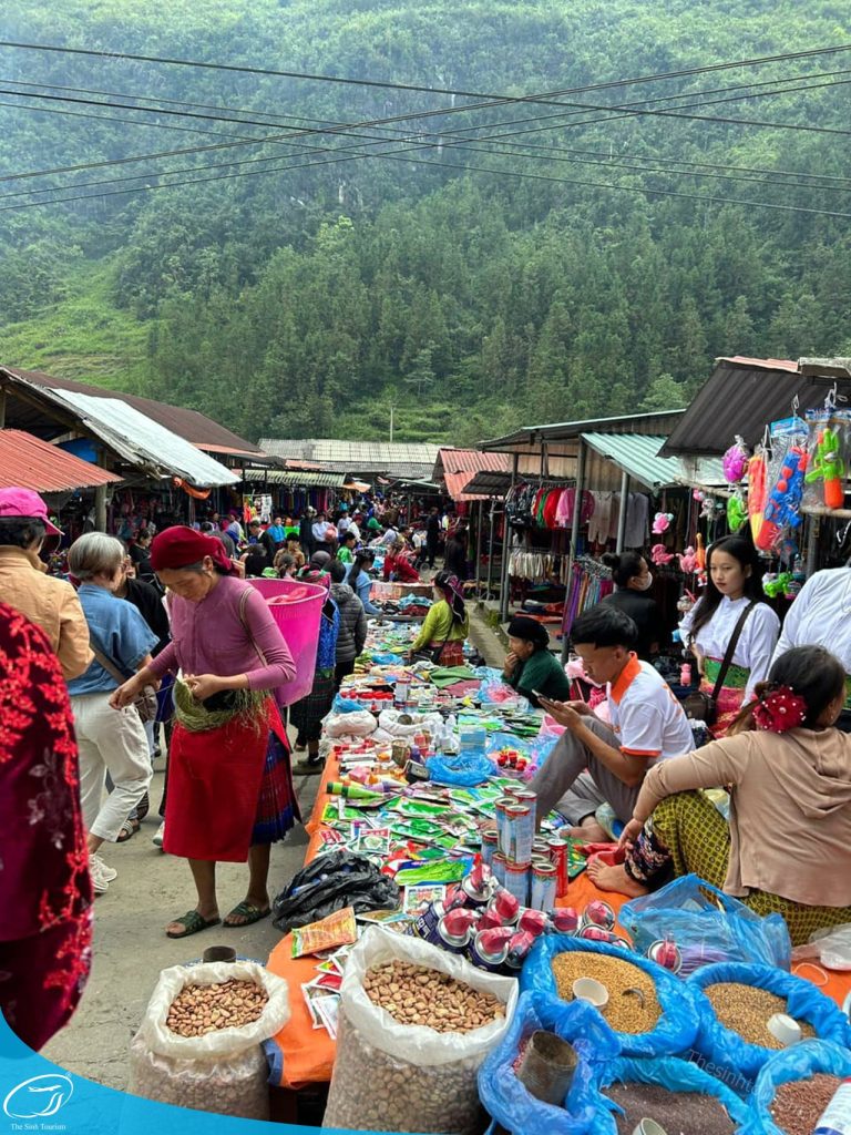 TOUR TÂY BẮC TỪ HÀ NỘI – HÀNH TRÌNH KHÁM PHÁ VÙNG CAO HÙNG VĨ 8 du lich the sinh the sinh tourist du lich ha giang tour ha giang 065 20241022