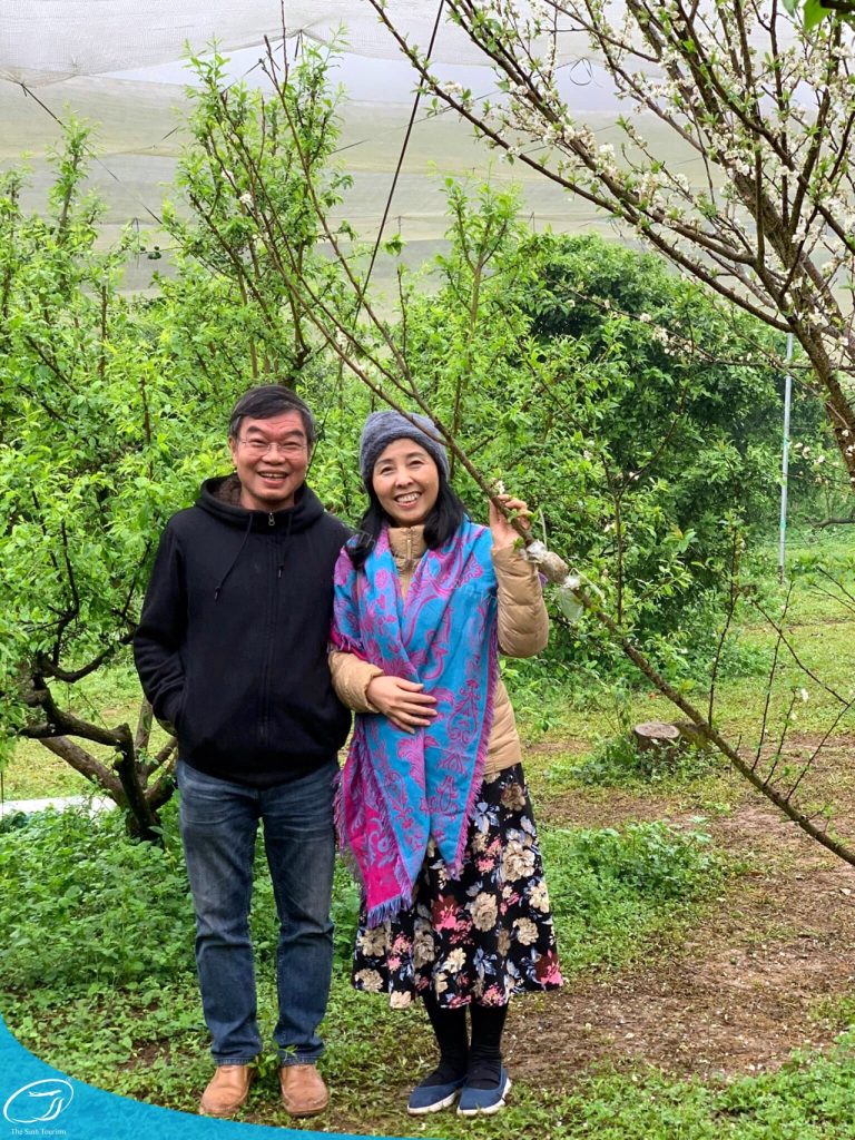 du lich the sinh the sinh tourist du lich moc chau tour moc chau 006 20241022