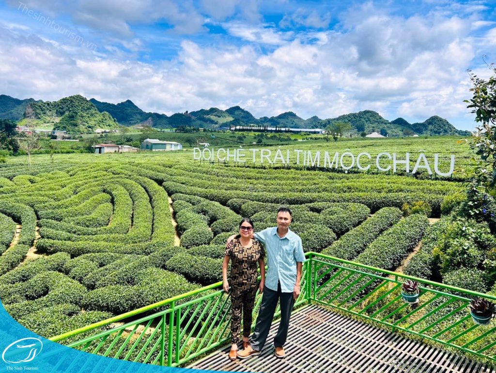 Du lịch Mộc Châu: Khám phá cao nguyên xanh giữa lòng Tây Bắc 8 Du lịch Mộc Châu - Du lịch Đông Tây Bắc Việt Nam