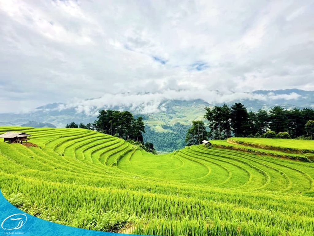 TOUR TÂY BẮC TỪ HÀ NỘI – HÀNH TRÌNH KHÁM PHÁ VÙNG CAO HÙNG VĨ 4 Đặt tour Tây Bắc cùng Thế Sinh - Du lịch miền Bắc