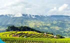 du lich the sinh the sinh tourist du lich mu cang chai tour mu cang chai 015 20241022