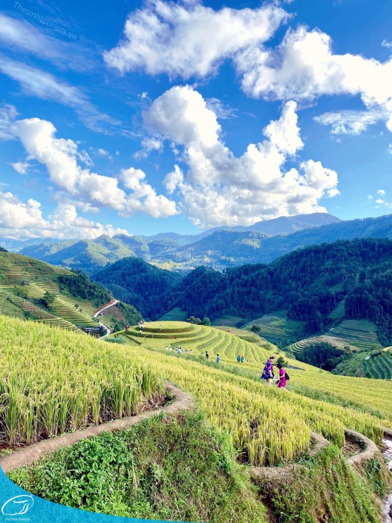 Du Lịch Mù Cang Chải - Hành Trình Bình Yên Giữa Những Thửa Ruộng Bậc Thang 11 du lich the sinh the sinh tourist du lich mu cang chai tour mu cang chai 020 20241022