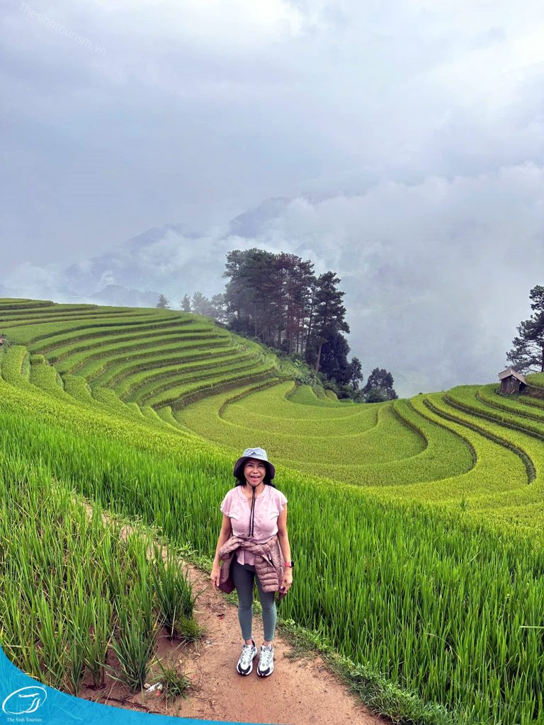 du lich the sinh the sinh tourist du lich mu cang chai tour mu cang chai 022 20241022