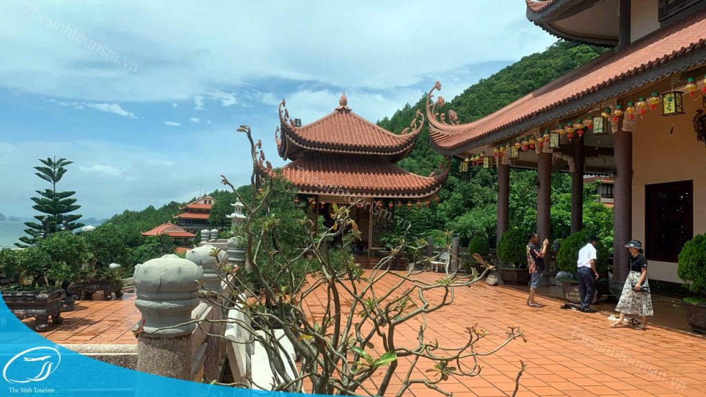 du lich quang ninh du lich van don the sinh tourist 012 20250121