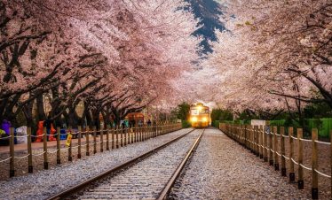 Hà Nội – Hàn Quốc 6N5Đ ( BUSAN – GYEONGJU – SEOUL – ĐẢO NAMI – TÀU ĐIỆN – NGẮM HOA ANH ĐÀO)
