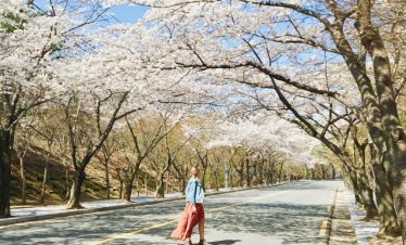 Hà Nội – Hàn Quốc 5N4Đ ( SEOUL – NAMI – EVERLAND – CÔNG VIÊN YEOUIDO – RỪNG SEOUL)