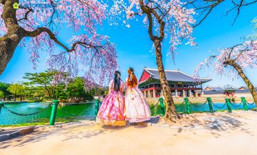 Hà Nội – Hàn Quốc 5N4Đ ( SEOUL – NAMI – EVERLAND – THƯ VIỆN STARFIELD – PAINTER SHOW)