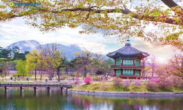 Hà Nội – Hàn Quốc 5N4Đ ( SEOUL-NAMI- MORNING CALM- EVERLAND –CÔNG VIÊN YEOUIDO)