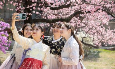 Hà Nội – Hàn Quốc 6N5Đ ( BUSAN – SEOUL – ĐẢO NAMI – INCHEON – NGẮM HOA ANH ĐÀO)