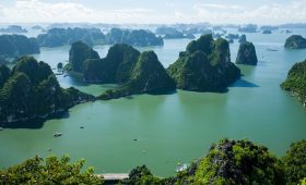 Du lịch Hạ Long cùng Thế Sinh Tourism