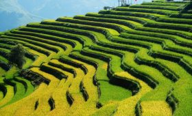 Ảnh sưu tầm - Tour đi Mù Cang Chải