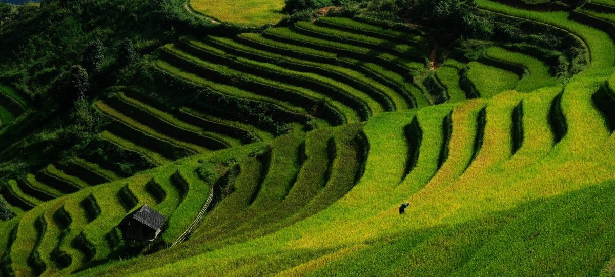 Du Lịch Mù Cang Chải - Hành Trình Bình Yên Giữa Những Thửa Ruộng Bậc Thang 1 du lich the sinh the sinh tourist tour du lich mu cang chai 1002 20250924