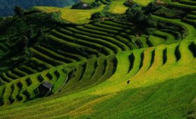 du lich the sinh the sinh tourist tour du lich mu cang chai 1002 20250924