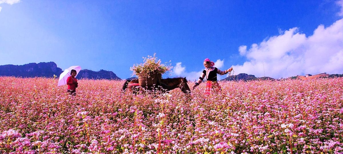 Du lịch Hà Giang - Ảnh sưu tầm